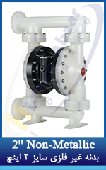 10 2'' EXP Non-Metallic Air Operated Diaphragm Pump